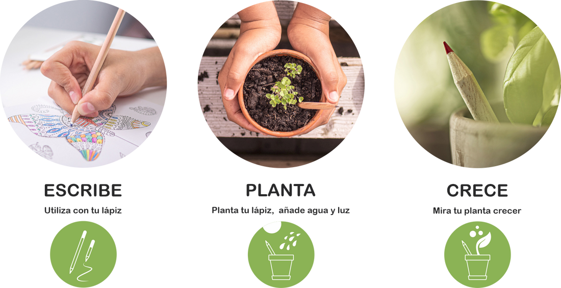 Lápiz Publicitario Semilla Plantable Germinable Biodegradable Ecologico