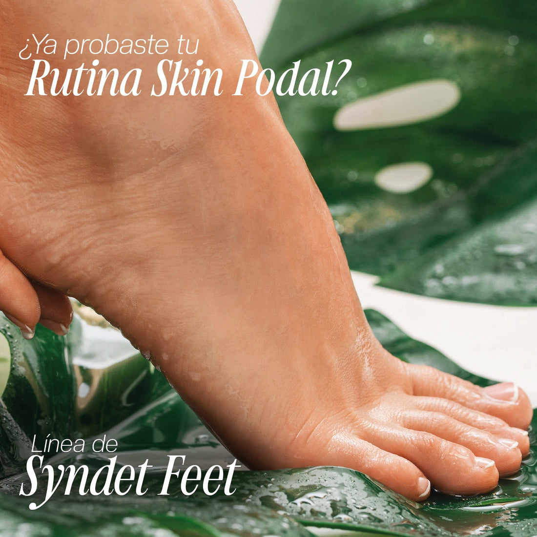 HIGIENE PODOLOGICO SYNDET FEET UREA 10% 240ML