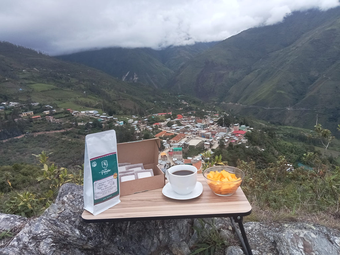 CAFE MOLIDO FUNDO PARAISO TINTAYPUNCO FILTRANTES INDIVIDUALES X6
