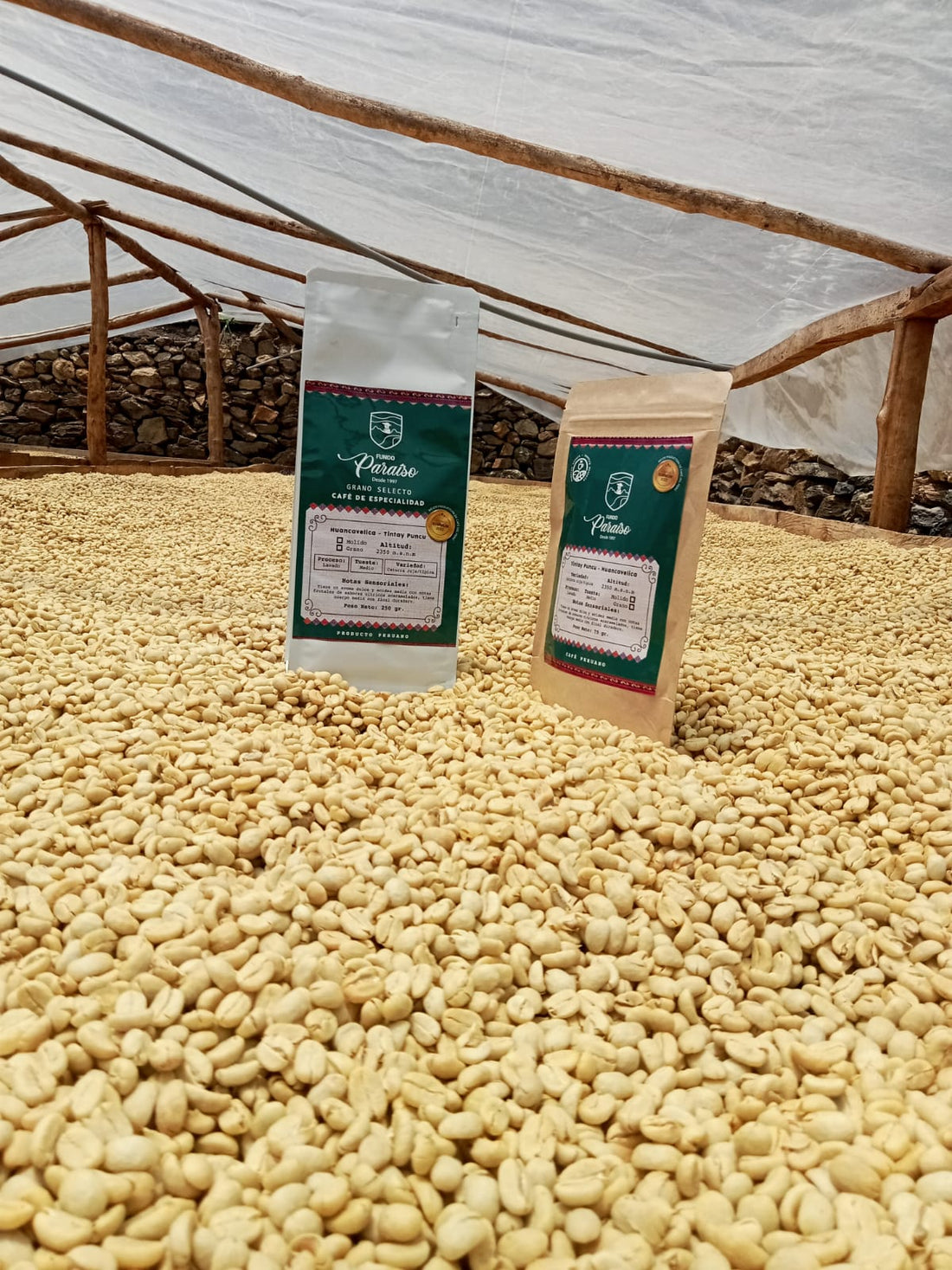CAFE MOLIDO DE 500 GR MOLIDO Y GRANO FUNDO PARAISO TINTAYPUNCO