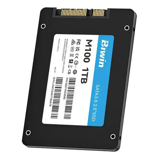 SSD SATA BIWIN M100 1TB 2.5"