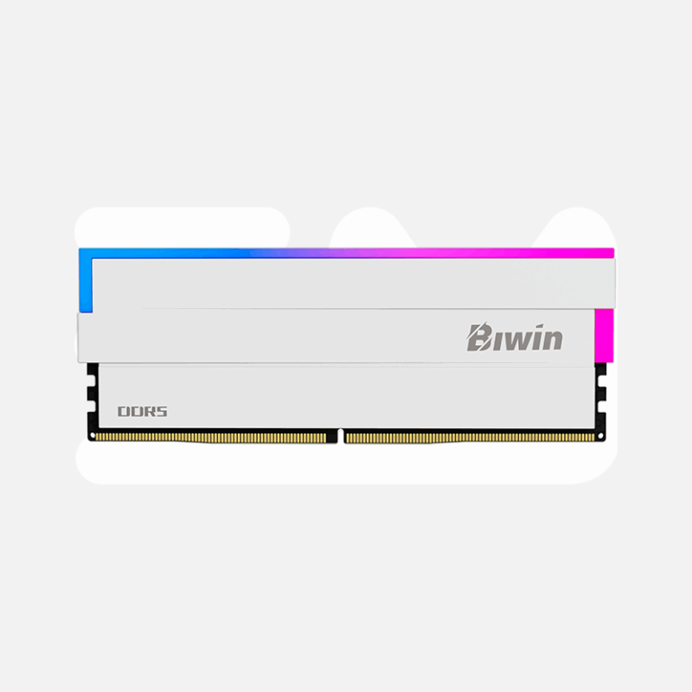 DDR5 PC BIWIN DW100 32GB (16X2) 6000MHZ CL36 WT