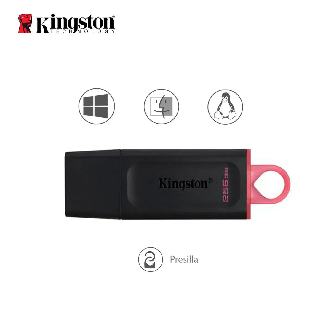 MEMORIA USB 256GB DTX 3.2 NEGRO KINGSTON (DTX/256GB)