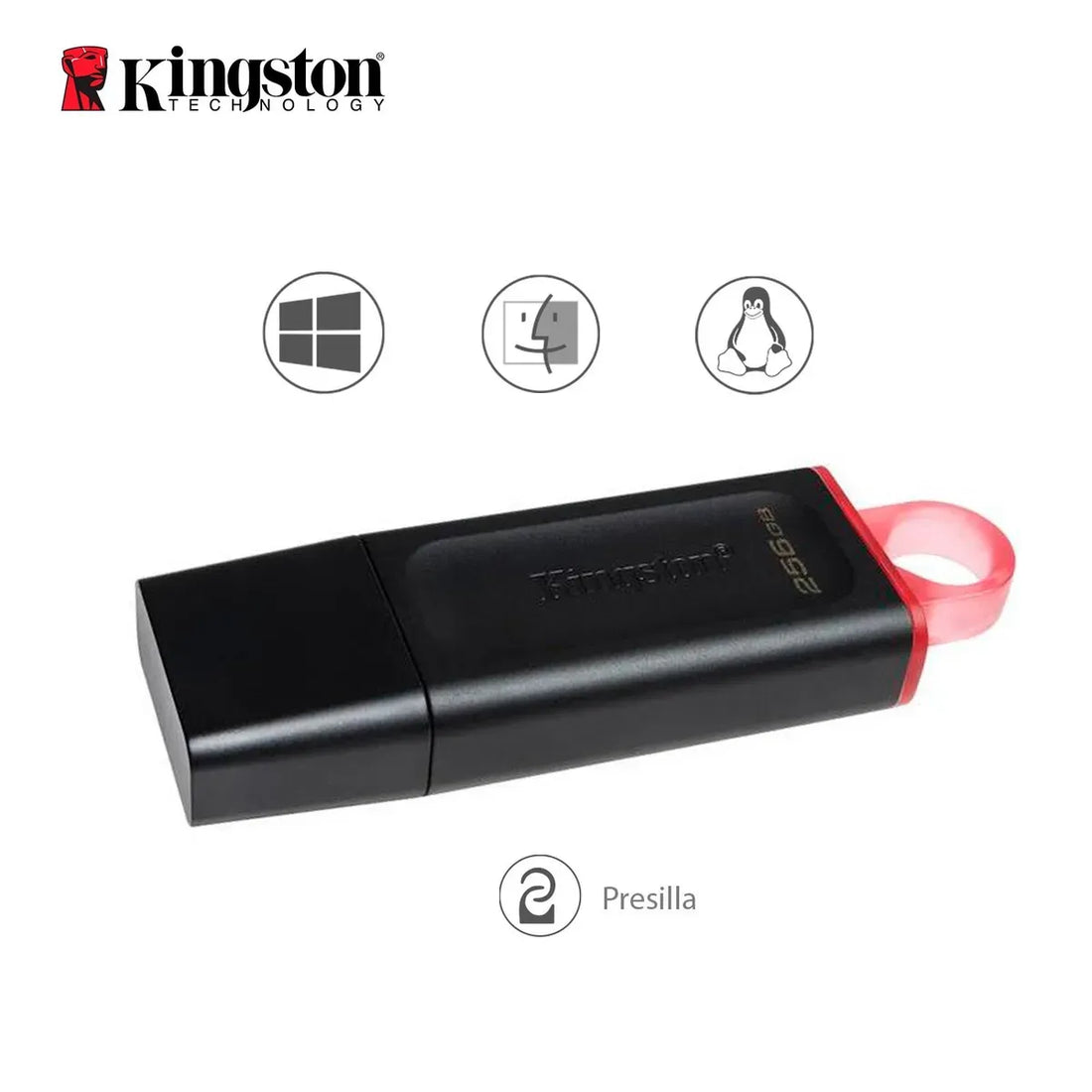 MEMORIA USB 256GB DTX 3.2 NEGRO KINGSTON (DTX/256GB)